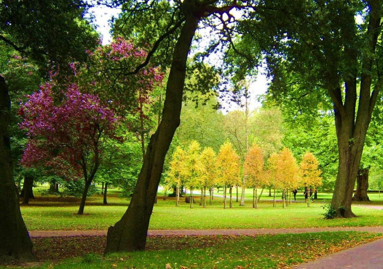 35A Howard Gardens - Cardiff City Centre Екстериор снимка
